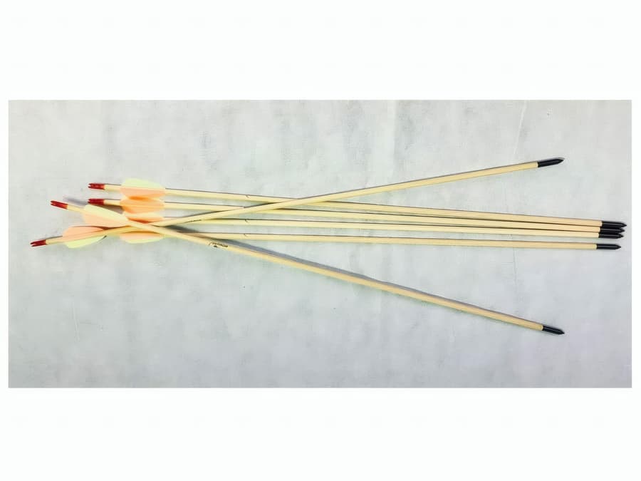 60 Pfeile ArcheryClub Wooden Arrow 30\